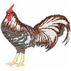 Chickens And Roosters Embroidery Design 4 Chickens And Roosters Embroidery Design 4